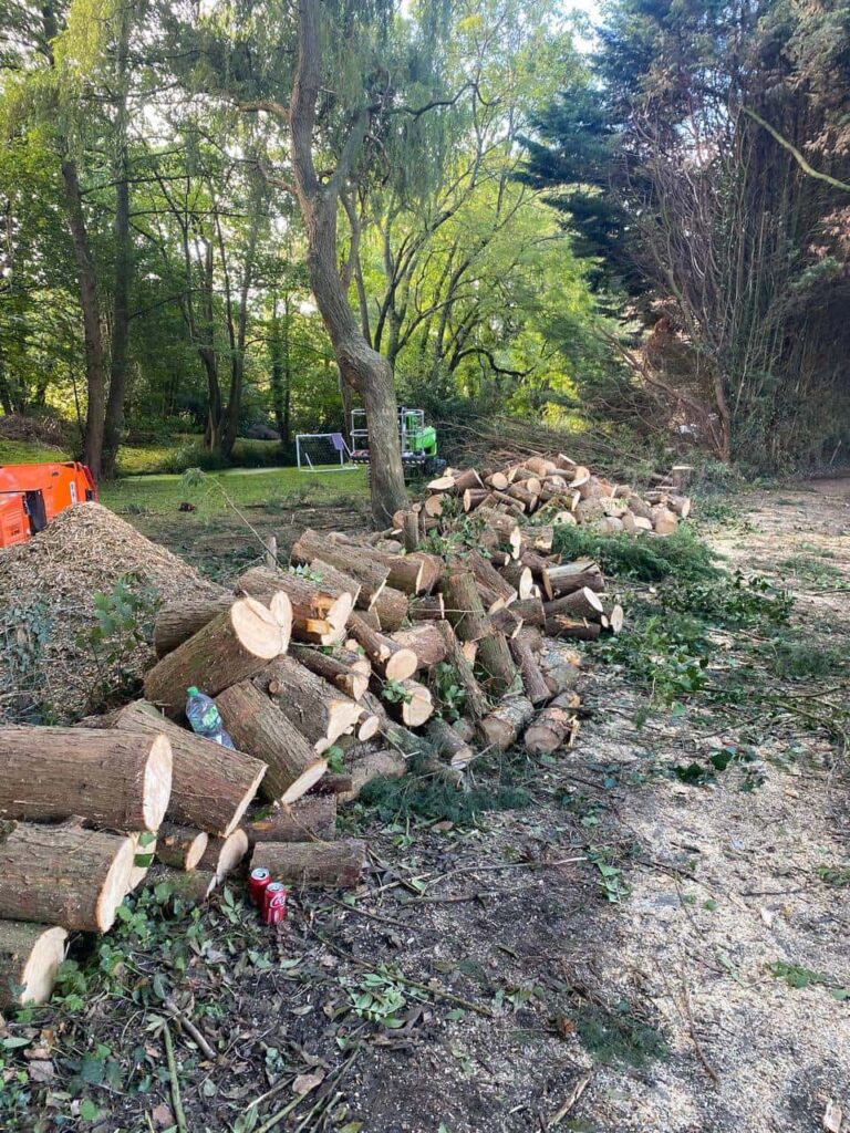 This is a photo of an overgrown large garden, which is in the process of having tree removal. The photo shows a stack of logs along the left hand side, from all the trees which are being removed. Photo taken by Downham Market Tree Surgeons