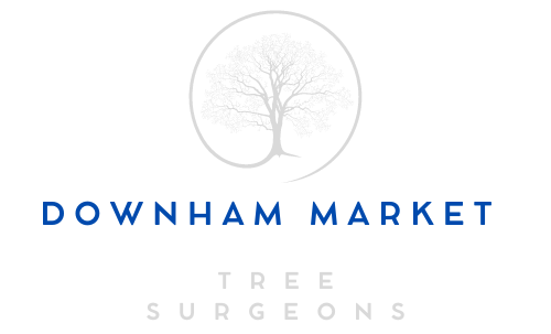 Downham Market Tree Logo Transparent